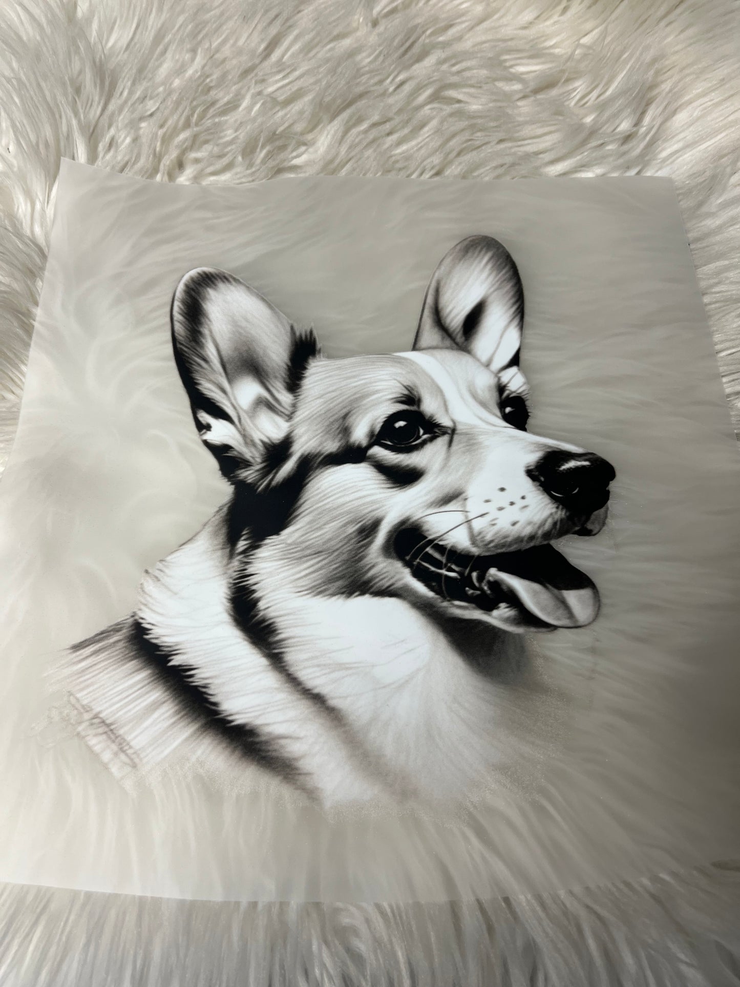 DTF  print corgi