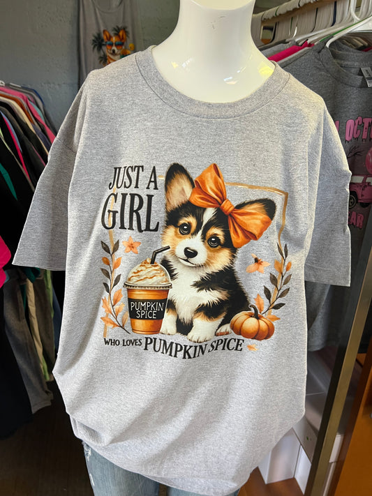 New  unisex T-shirt pumpkin spice corgi Triblend