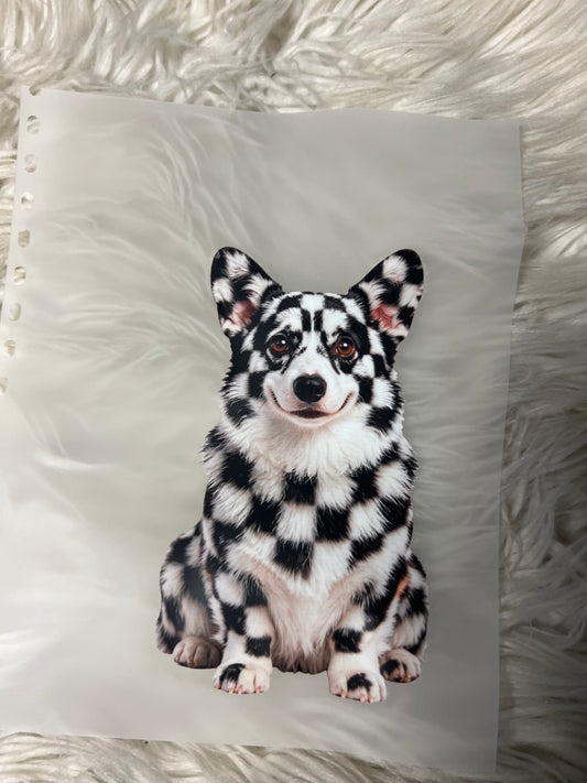 New DTF  corgi