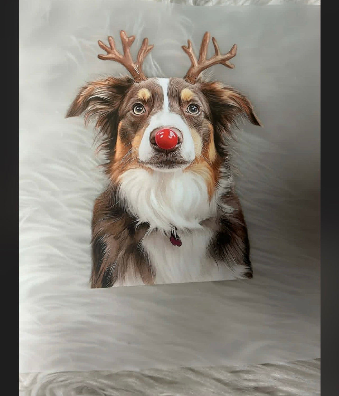 New DTF Christmas Australian Shepherd