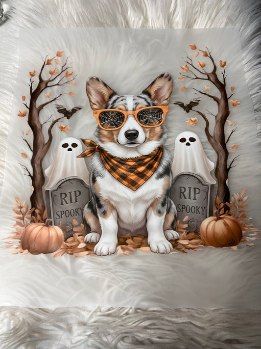 New DTF corgi