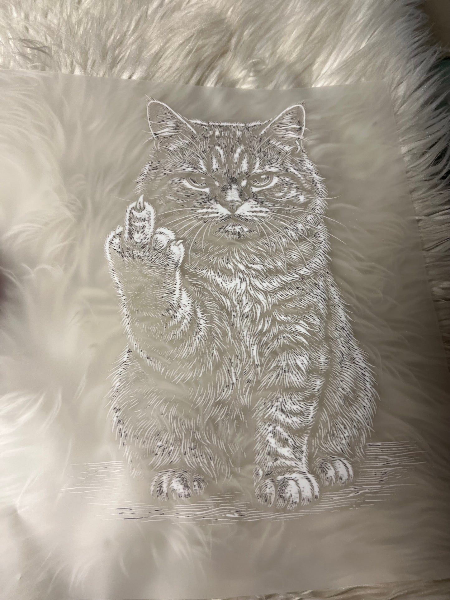New DTF blackout cat
