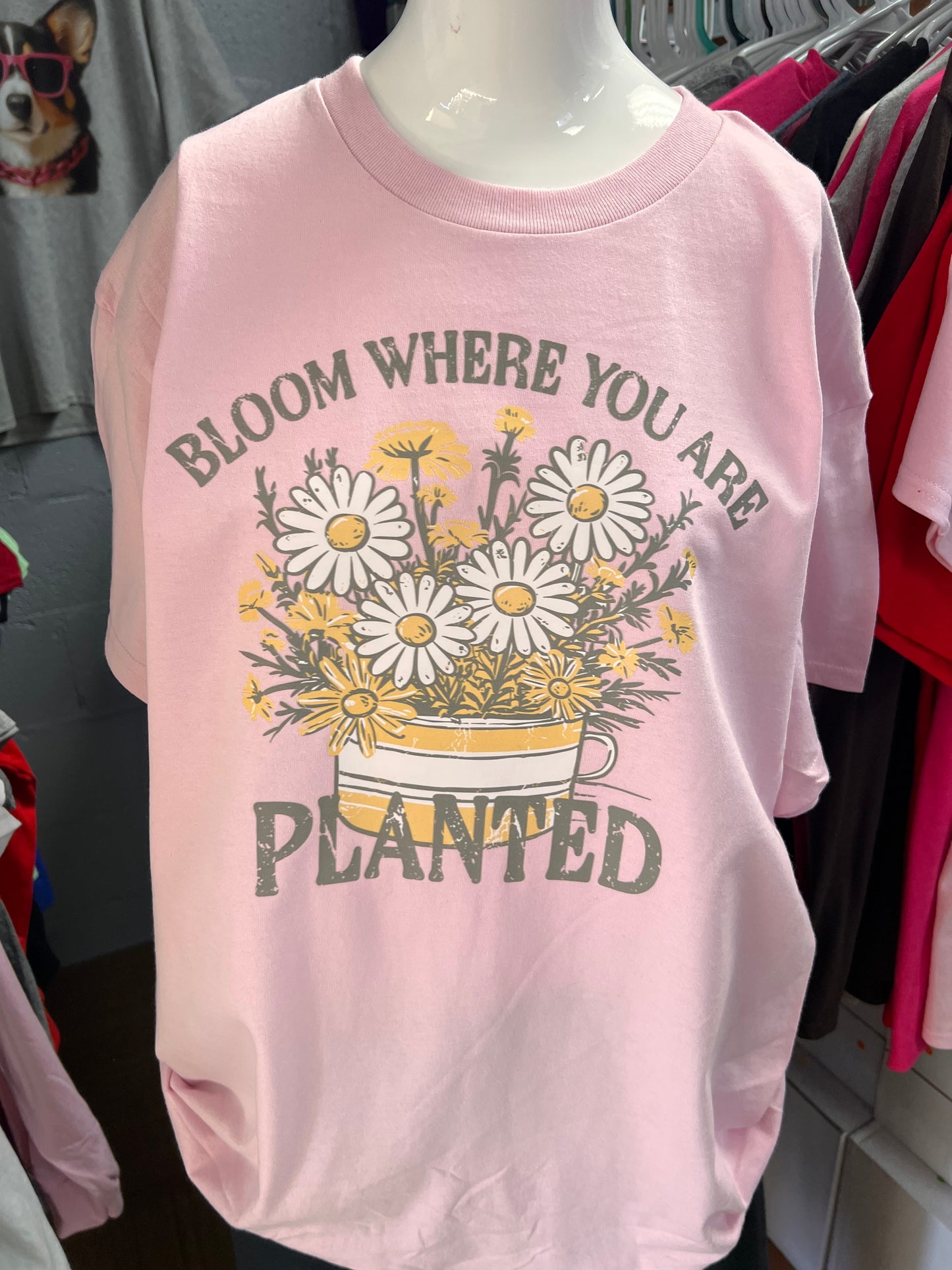 New unisex light pink