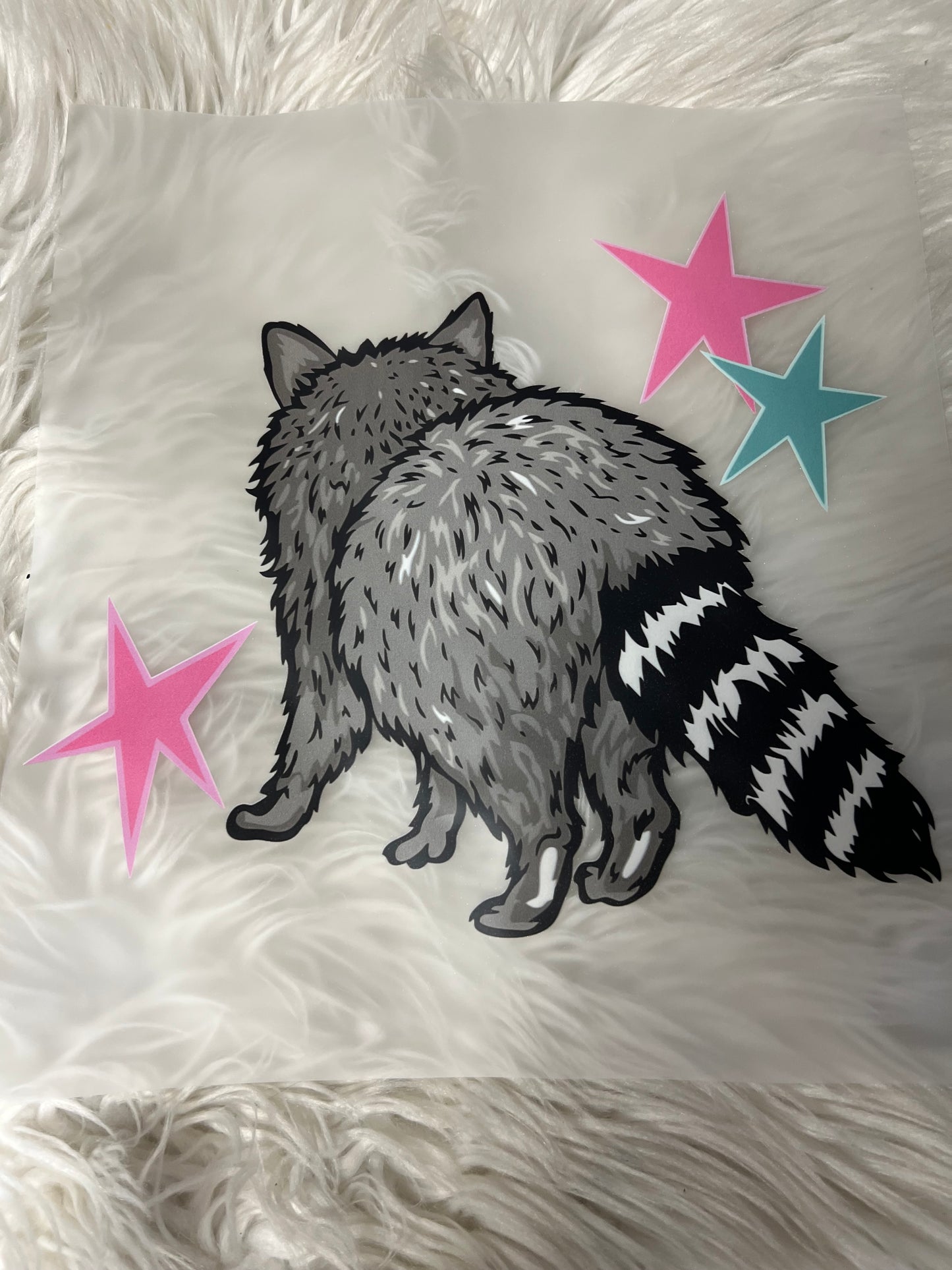 New DTF raccoon back