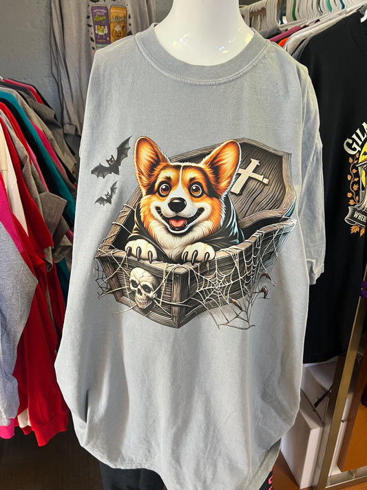 New  unisex T-shirt comfort color Brand
