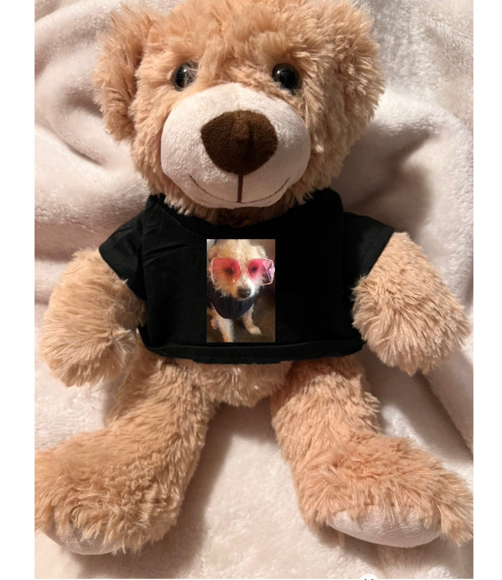 Missy mascot 14 inch teddy bear with shirt