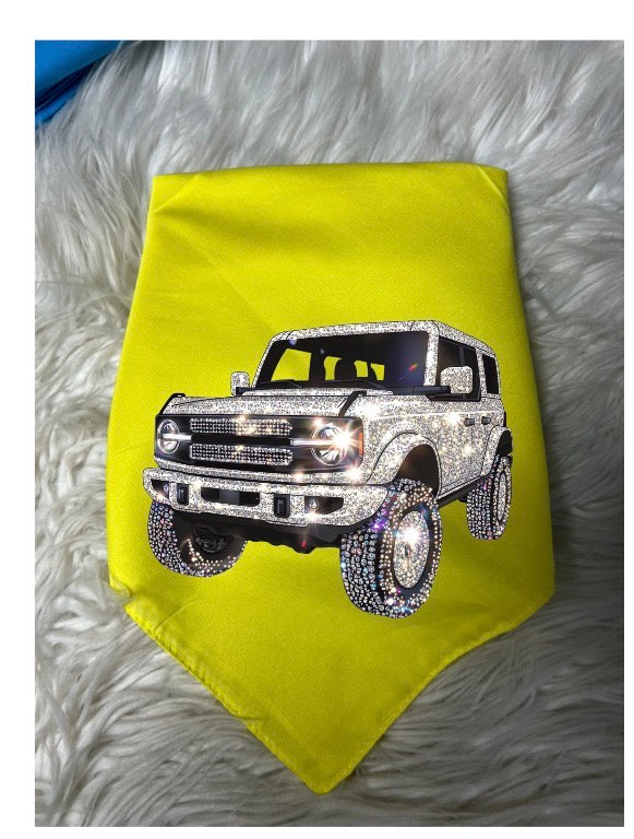 New dog bandanna
