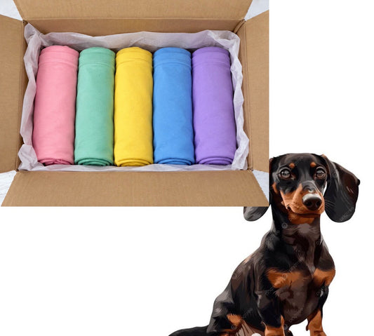 Mystery five T-shirts bundle wiener dog ￼￼