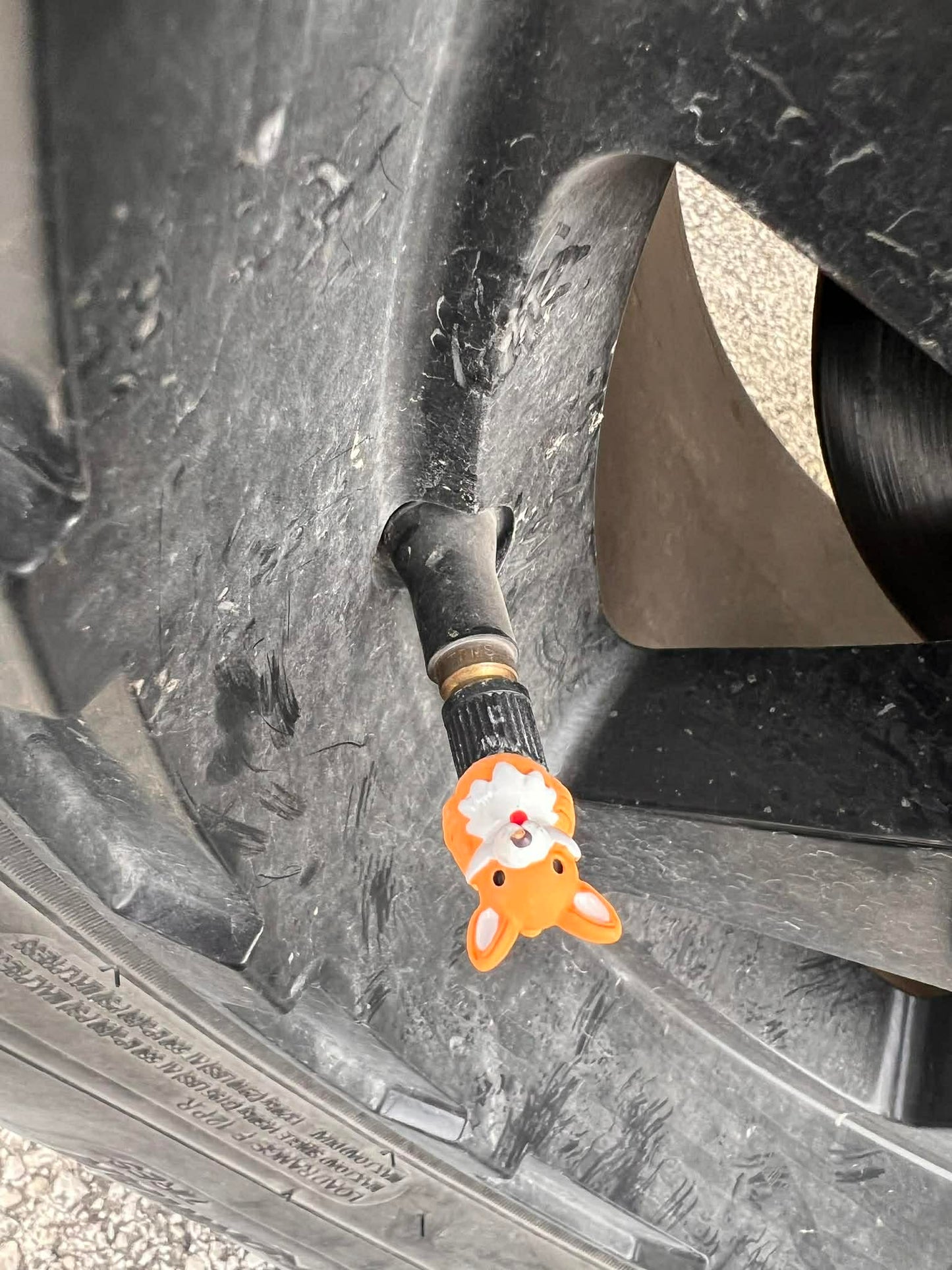 New Valve stem covers for tires (5 pieces per pack)￼