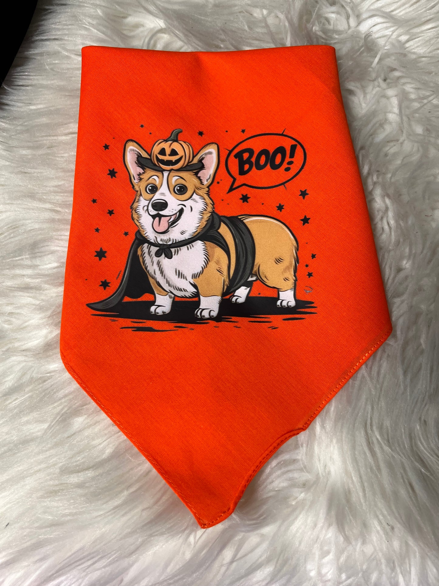 New dog bandanna Halloween corgi ￼