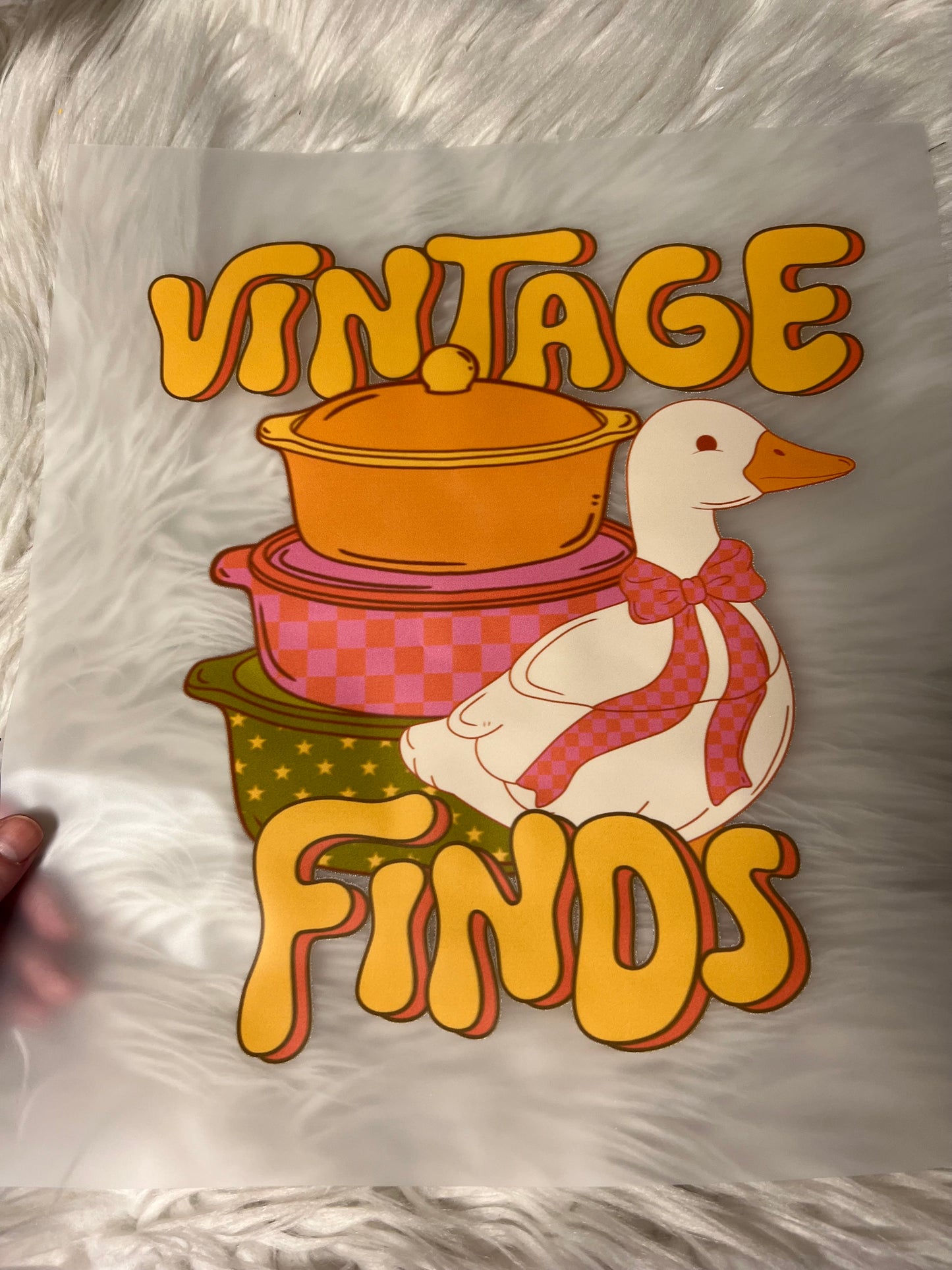 New DTF vintage finds goose ￼