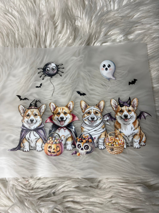 New DTF corgi