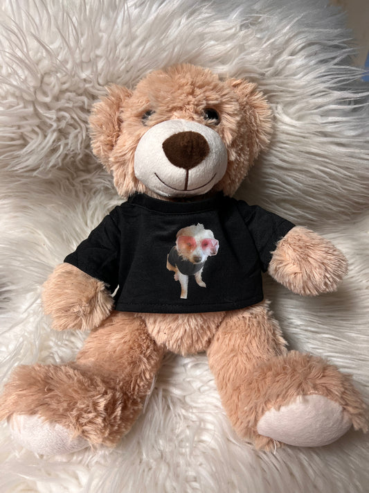 Missy mascot 14 inch teddy bear with shirt