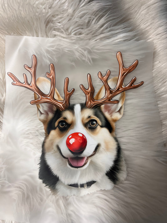 New DTF Christmas corgi