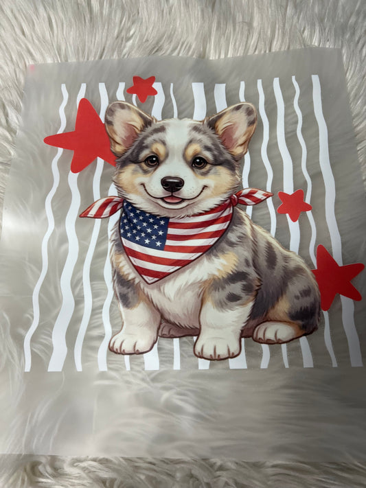 New DTF corgi