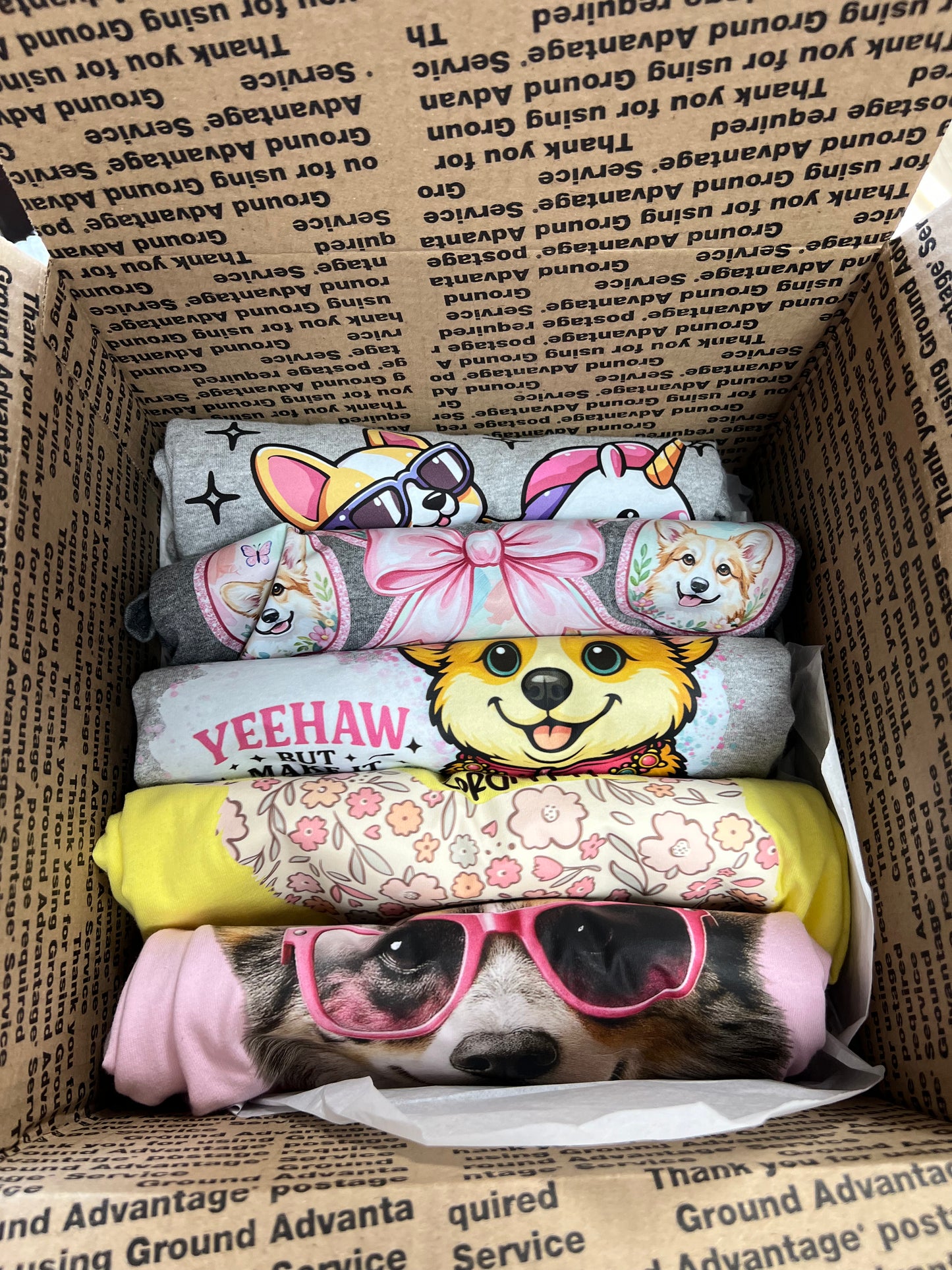 Mystery five T-shirts bundle example of corgi