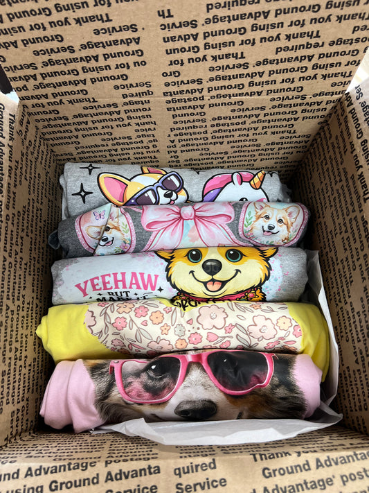 Mystery five T-shirts bundle example of corgi