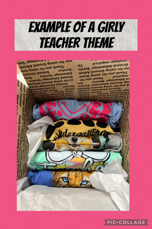 Mystery five T-shirts bundle teacher